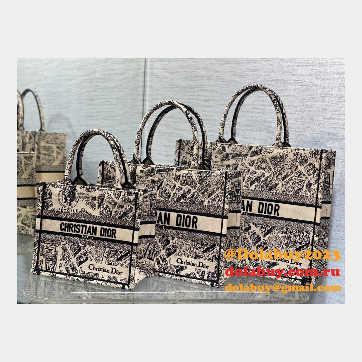 Christian Dior CD Book Tote Top Quality Replica Bags