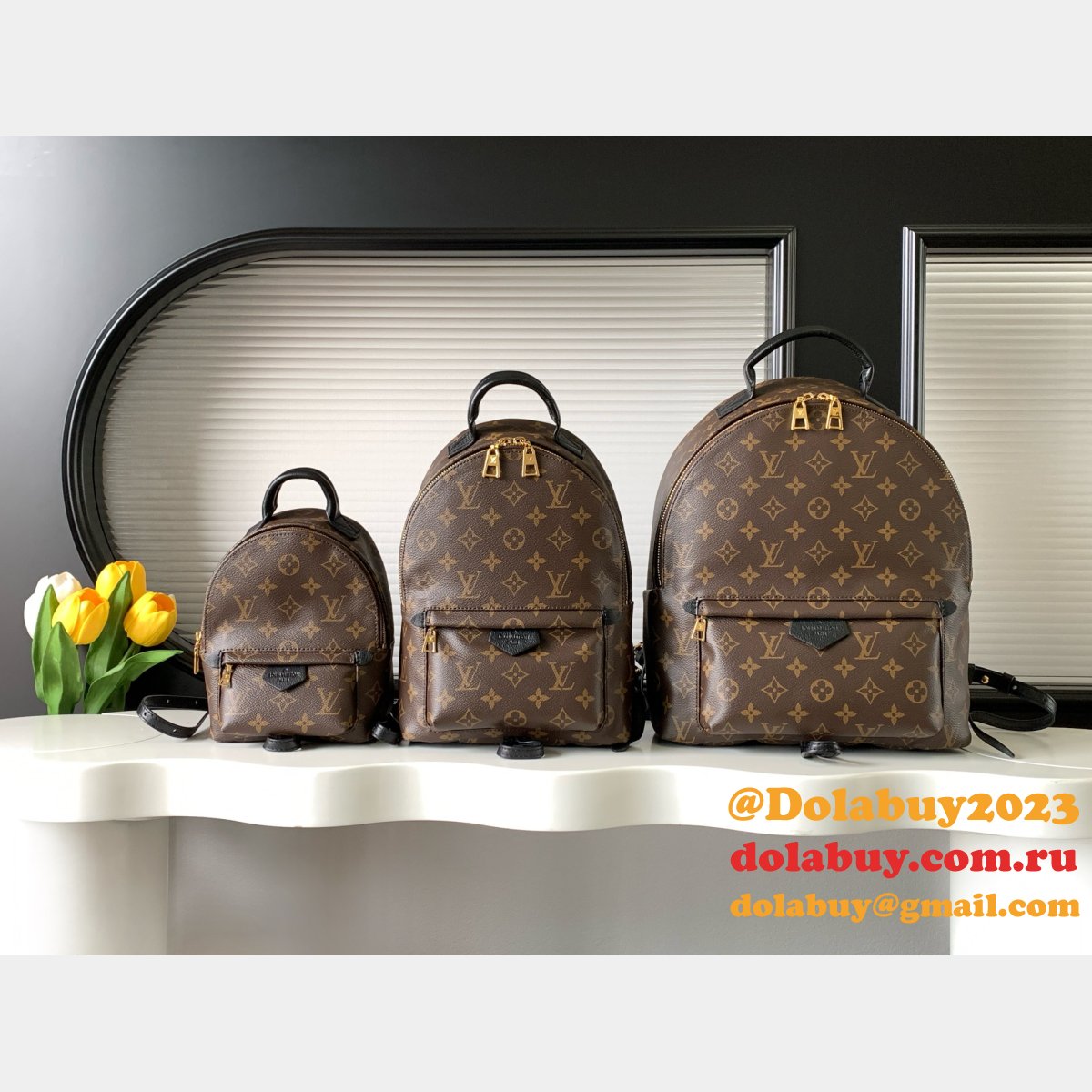 Top Quality Classical Palm Springs Louis Vuitton backpack