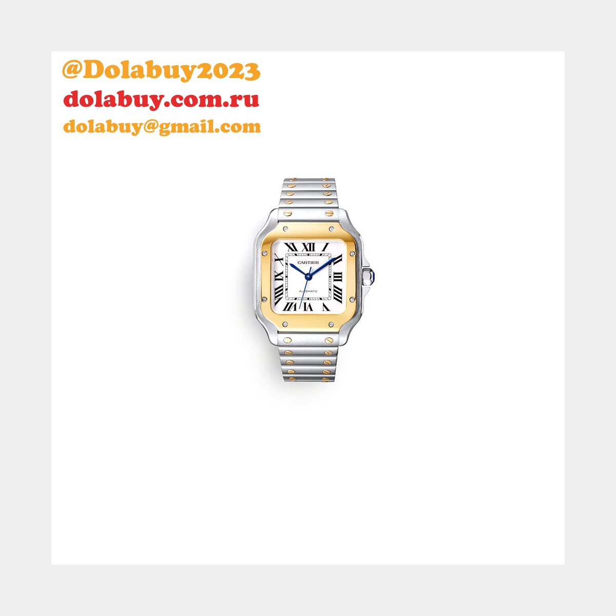 Cartier Medium Santos de Cartier watch